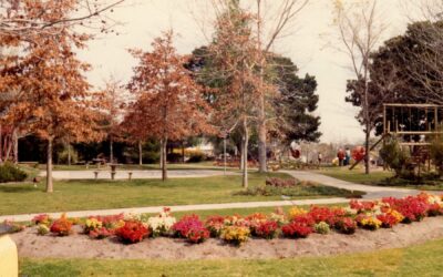 Harleston Park 1982